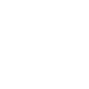 Seldon Logo