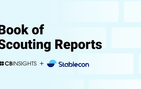 Book of Scouting Reports: Stablecon 2025